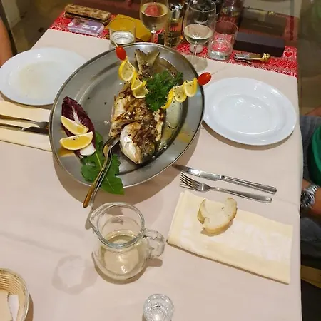 Meduza 3* ביוגראד נה מורו