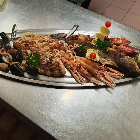 Meduza Biograd Na Moru