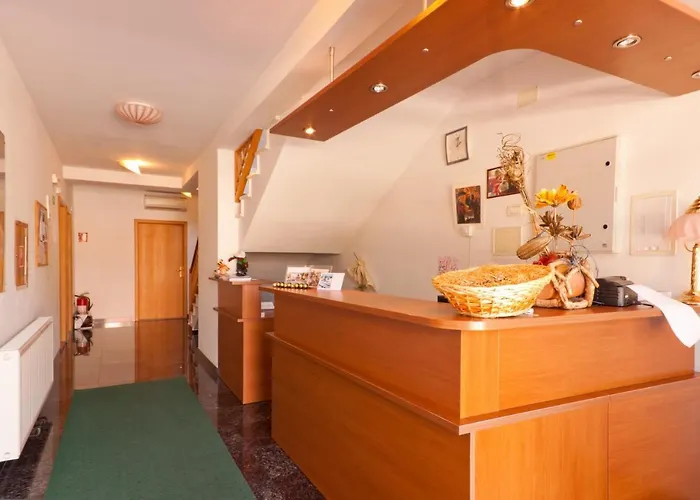 Meduza 비오그라드나모루