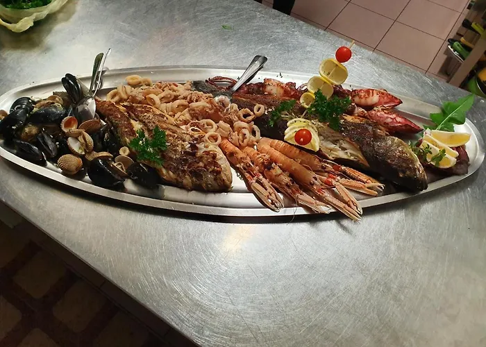 Meduza Biograd Na Moru