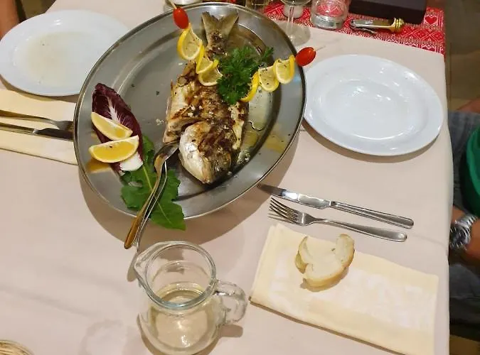 Meduza 3* 비오그라드나모루